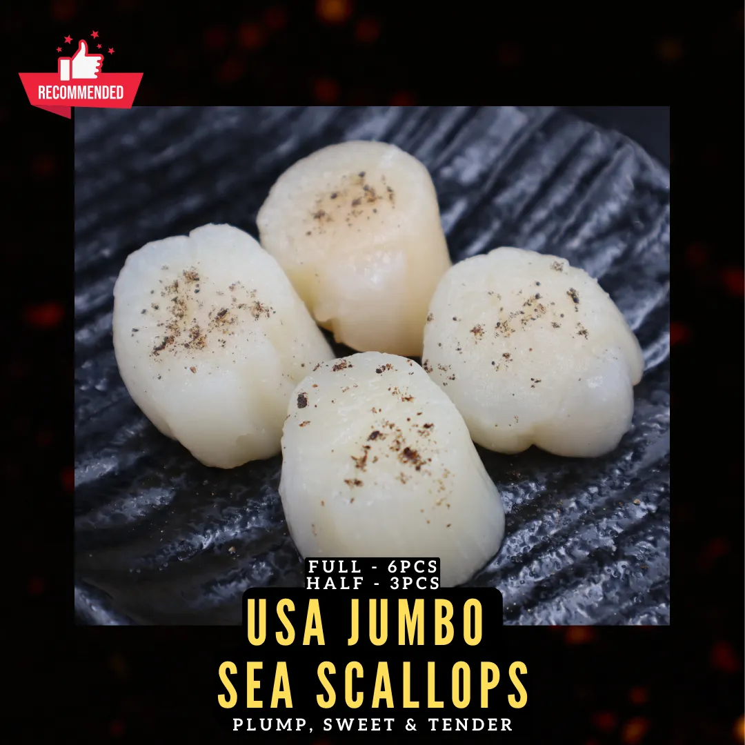 USA Jumbo Sea Scallops