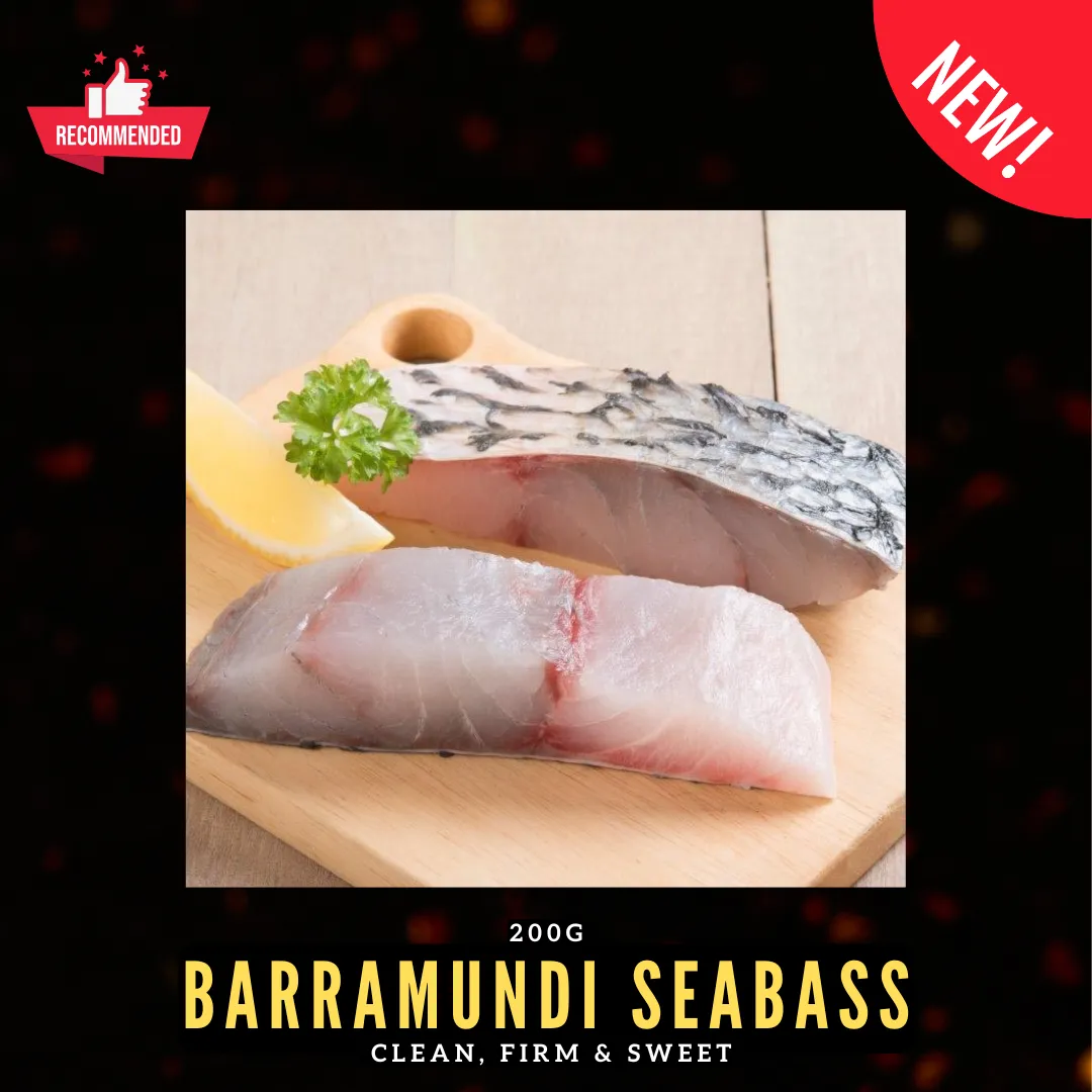 Barramundi Seabass